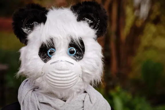 Casino Rich Prize Ondersteuning